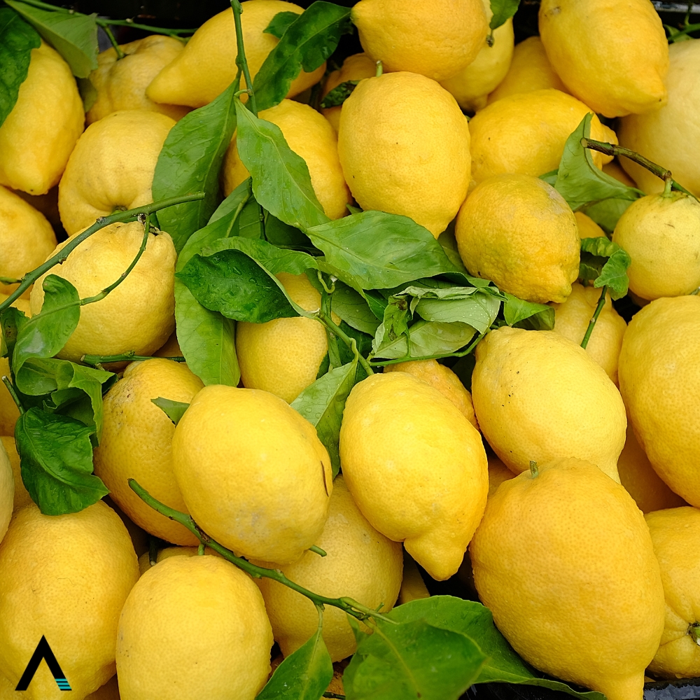 limon amalfi